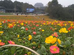 -保利石象湖景区