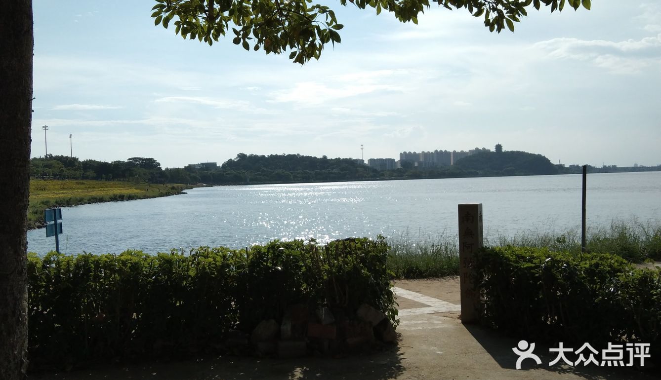 企石一个免费的溜娃地滨江公园,玩水抓泥鳅抓96