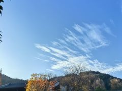 -杭州雅谷泉山庄酒店-餐厅
