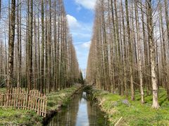 -东平国家森林公园