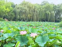 -南翠屏公园