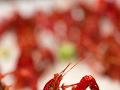 -靓靓蒸虾·头牌蒸虾(沙湖旗舰店)