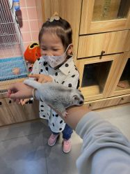 -Moni星球萌宠·小马宝莉·灵蛇·高端高阶全萌宠互动体验俱乐部(红豆国际广场店)