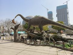 -陕西自然博物馆