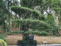 -深圳国际园林花卉博览园