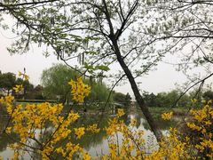 -九里河湿地公园