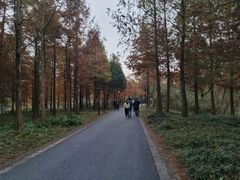 -西溪国家湿地公园