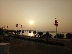 -宝安西湾红树林湿地公园