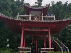 -长沙黑麋峰国家森林公园