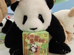 -中国大熊猫保护研究中心雅安碧峰峡基地