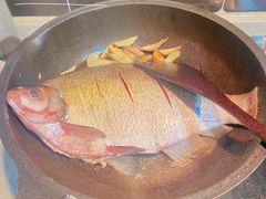 -光明食品集团有限公司