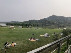 -风云岭森林公园