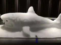 -海天盛宴海鲜自助(正大广场店)