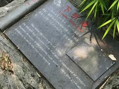 下折瀑-雁荡山三折瀑景区