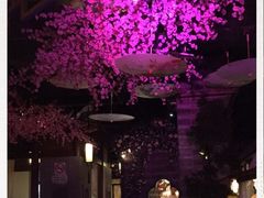 -韵秋荷(宝山龙湖天街店)