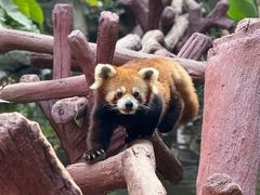 -长鹿旅游休博园