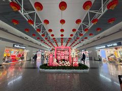 -石家庄正定国际机场-T2航站楼