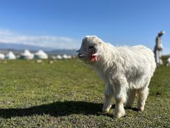 -新疆那拉提国家旅游度假区