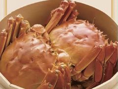 -同庆楼(金宝汇店)