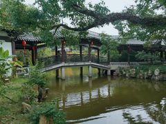 -江心屿景区