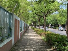 -上海交通大学医学院附属仁济医院(北院)