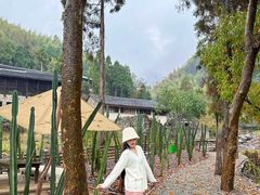 -MOJ coffee(瓯海泽雅水碓坑店)