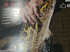 -金三可市井水煮鱼(金碧园店)