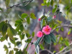 -北山街历史文化街区