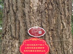 -狼山风景名胜区