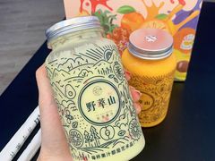 -野萃山·潮汕厚果汁(十亩地店)