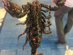 -黄兴南路步行商业街