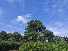-穹窿山景区
