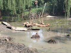 -溱湖国家湿地公园