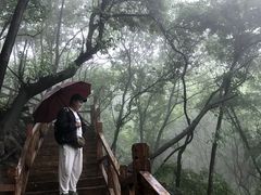 -大岭沟猕猴桃谷风景区