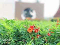 -尼甘布海鲜市场