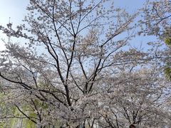 -西北湖绿化广场
