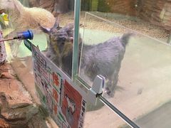 -正佳雨林生态植物园