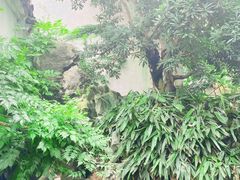 -巡塘古镇