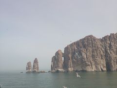 -长岛万鸟岛