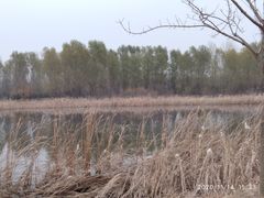 -东郊湿地公园
