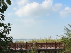 -鱼嘴湿地公园