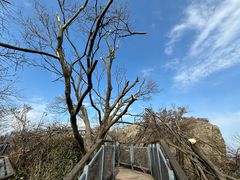 -紫金山山顶公园