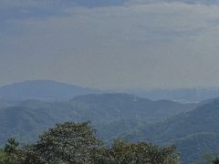 -黄埔油麻山森林公园