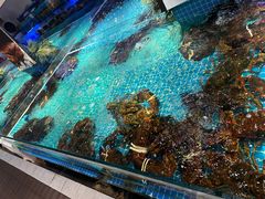 -驻海渔市(置信店)