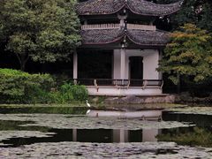 -杭州植物园