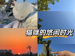 -洋湖国家湿地公园