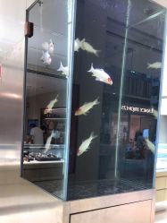 -品真阁(西红门荟聚店)
