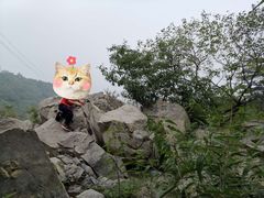 -阳台山自然风景区