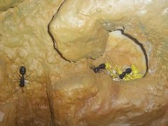 -上海昆虫博物馆