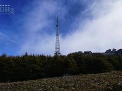 -白草畔自然风景区